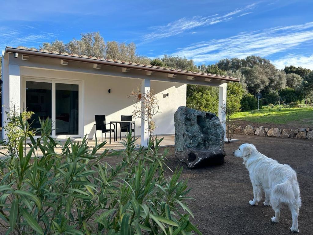 La Piana Holiday House Bassacutena Ngoại thất bức ảnh