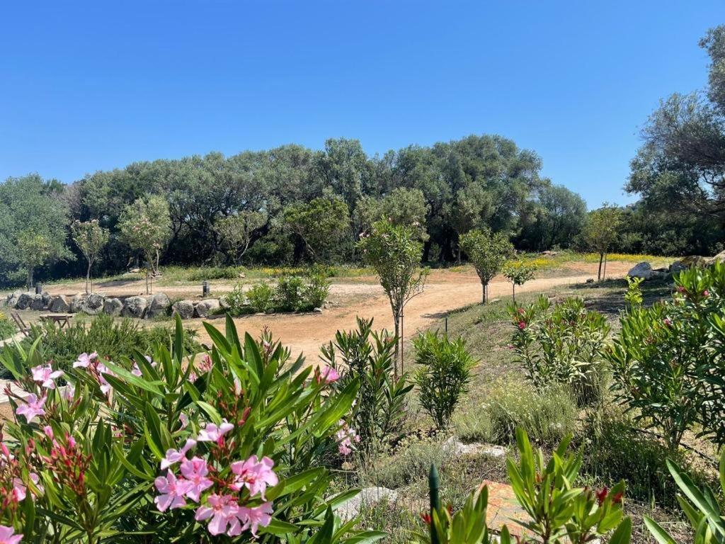 La Piana Holiday House Bassacutena Ngoại thất bức ảnh