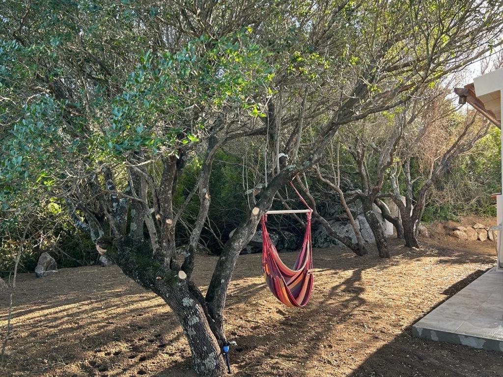 La Piana Holiday House Bassacutena Ngoại thất bức ảnh